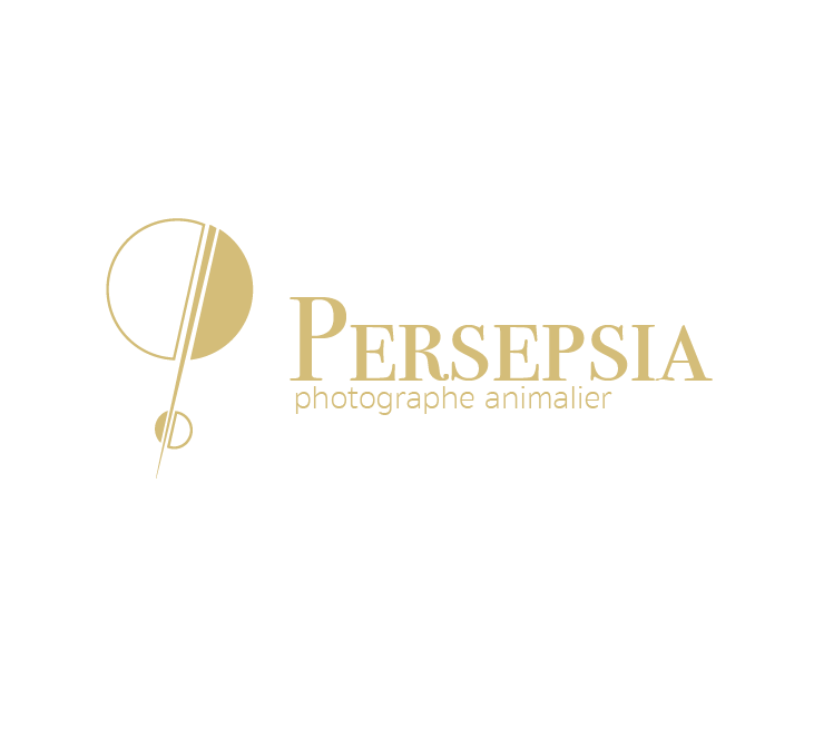 persepsia.com